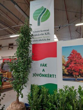 Exhibitions